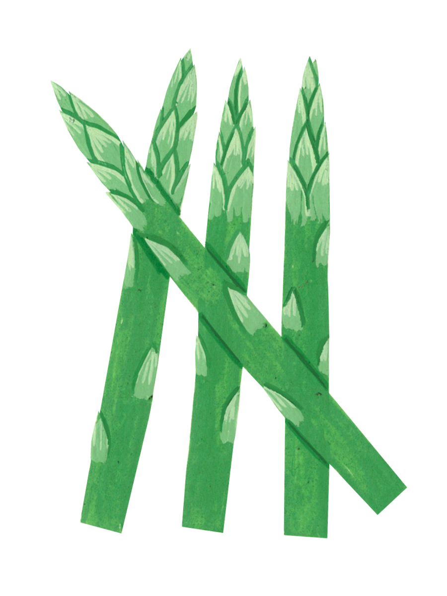 Thumbnail for asparagus