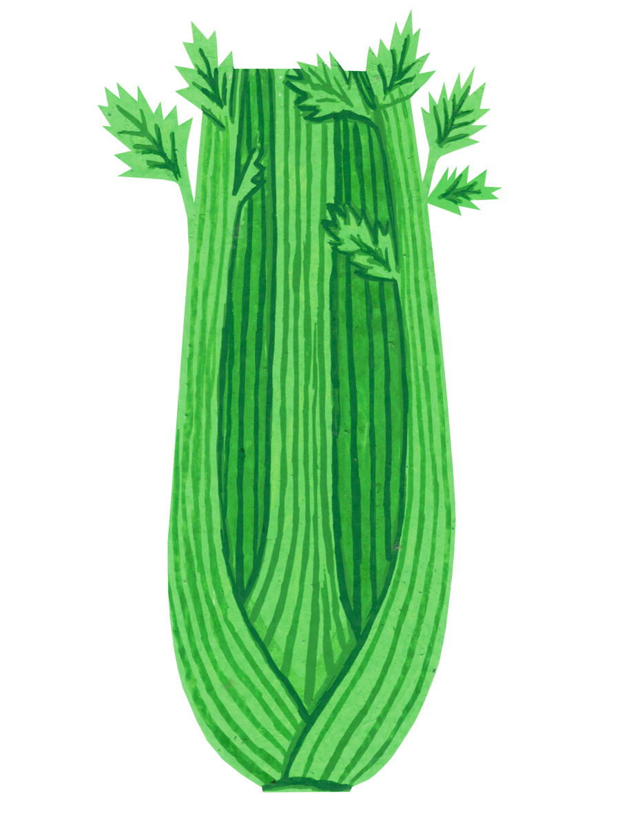 Thumbnail for celery