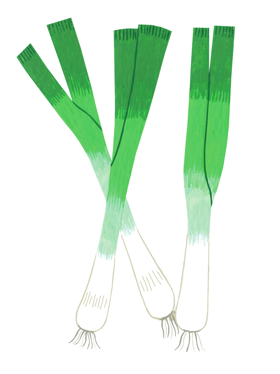 Thumbnail for spring onions