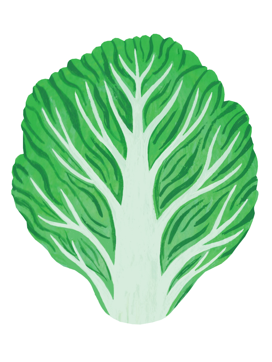 Thumbnail for little gem lettuce