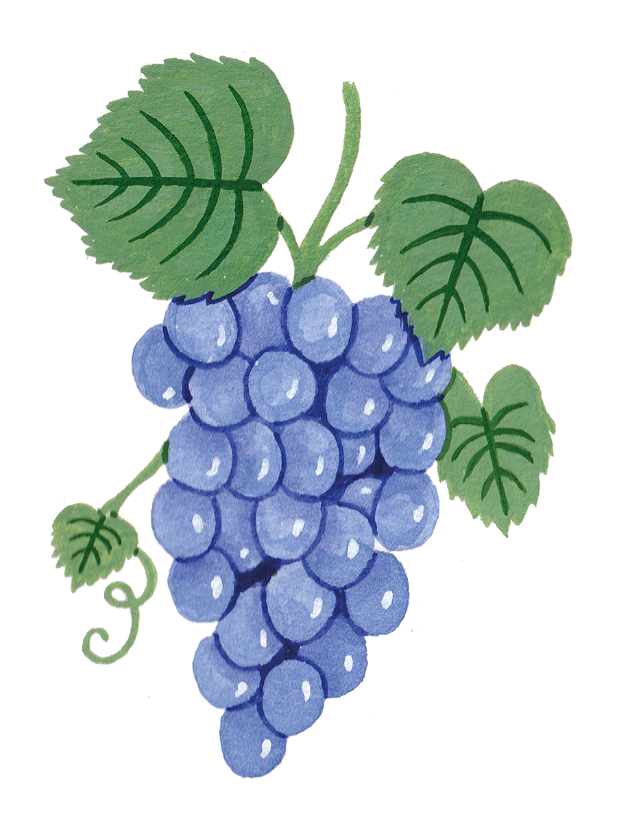 Thumbnail for grapes
