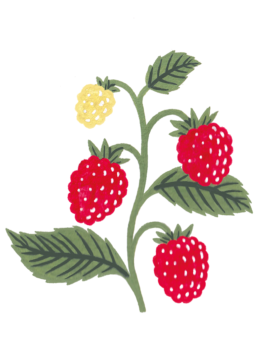 Thumbnail for raspberries